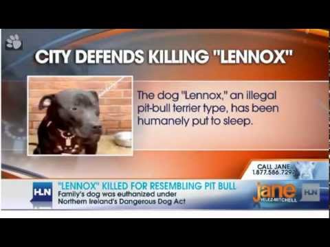 Lennox - Jane Velez-Mitchell HLN TV