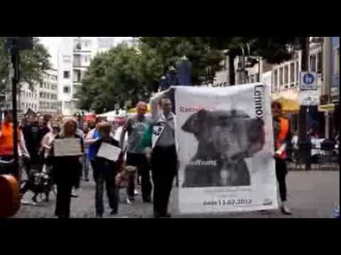Global Anti BSL Protest: Cologne Chapter - 13th July 2013